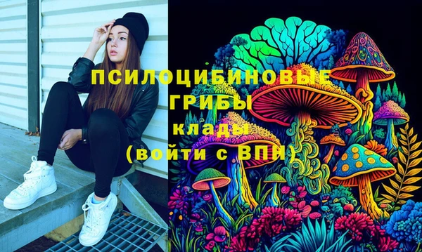 СК Заволжск